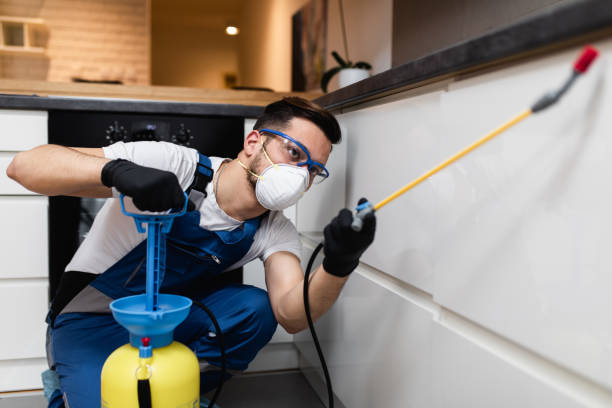 Best Local Pest Control Services  in Robersonville, NC