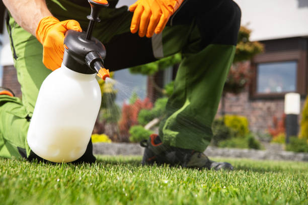 Best Local Pest Control Services  in Robersonville, NC