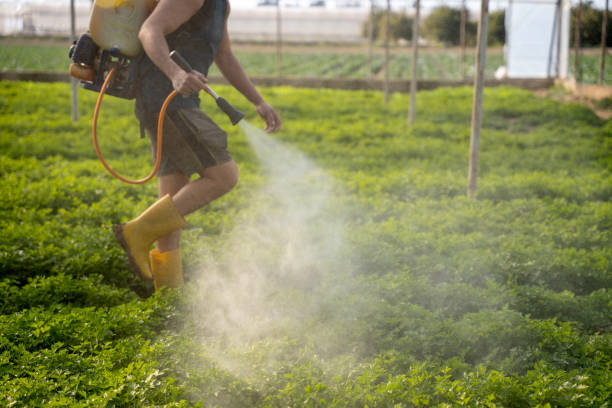 Best Pest Control Near Me  in Robersonville, NC