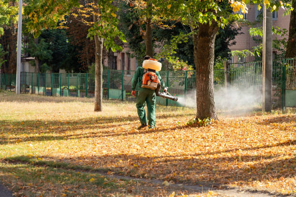 Reliable Robersonville, NC Pest Control Solutions