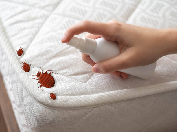 Best Cockroach Control Services  in Robersonville, NC