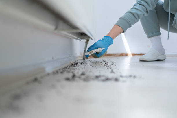 Best Pest Control for Restaurants  in Robersonville, NC
